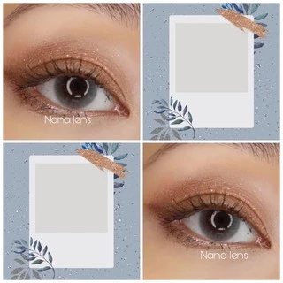 Nơi nhập dữ liệu