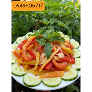 Nơi nhập dữ liệu