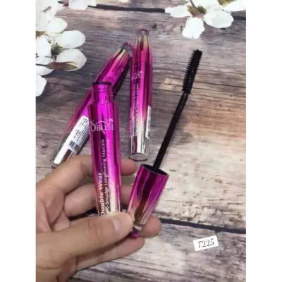 Nơi nhập dữ liệu
