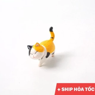 Nơi nhập dữ liệu