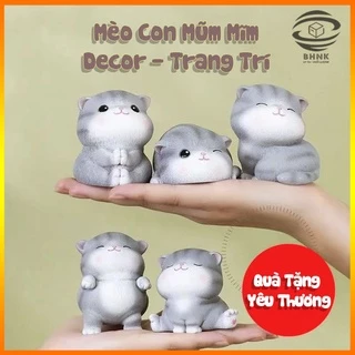 Nơi nhập dữ liệu