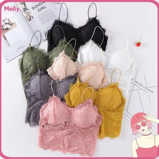 Nơi nhập dữ liệu