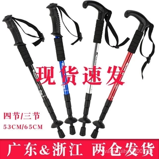Nơi nhập dữ liệu