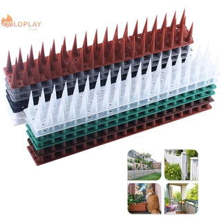 Nơi nhập dữ liệu