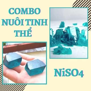 Nơi nhập dữ liệu