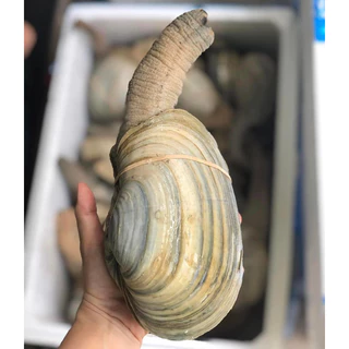 Nơi nhập dữ liệu