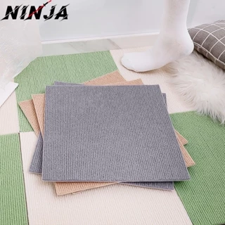Nơi nhập dữ liệu