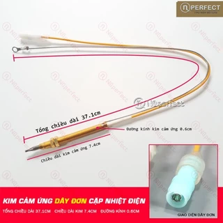 Nơi nhập dữ liệu