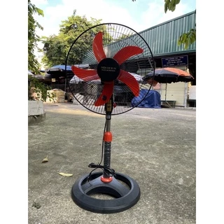 Nơi nhập dữ liệu