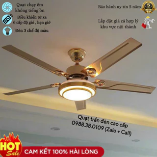 Nơi nhập dữ liệu