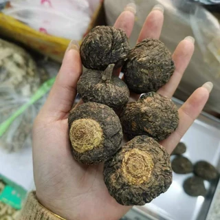 Nơi nhập dữ liệu