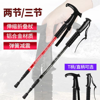 Nơi nhập dữ liệu