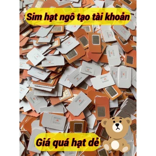Nơi nhập dữ liệu
