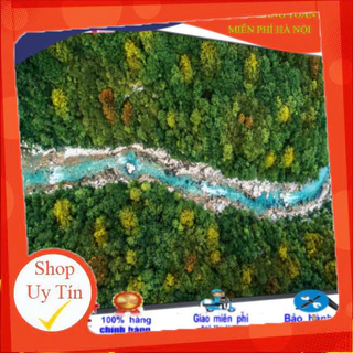 Nơi nhập dữ liệu