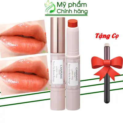 Nơi nhập dữ liệu