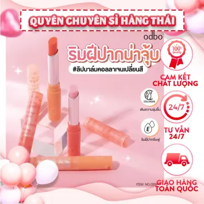 Nơi nhập dữ liệu