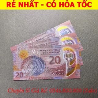 Nơi nhập dữ liệu