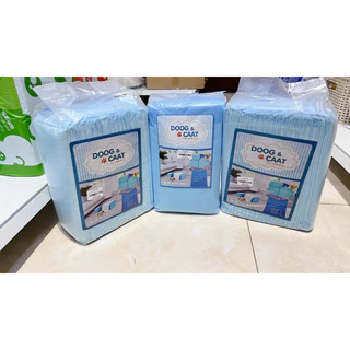 Nơi nhập dữ liệu