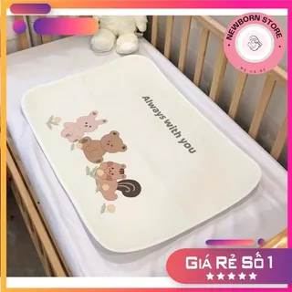 Nơi nhập dữ liệu