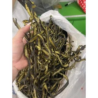 Nơi nhập dữ liệu