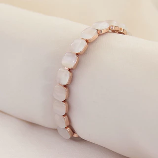 Nơi nhập dữ liệu