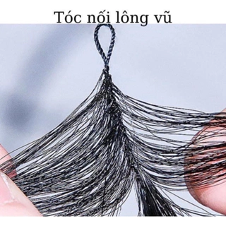 Nơi nhập dữ liệu