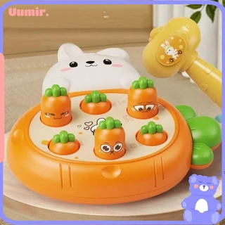 Nơi nhập dữ liệu
