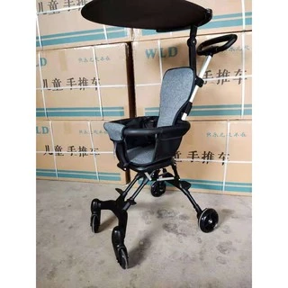 Nơi nhập dữ liệu