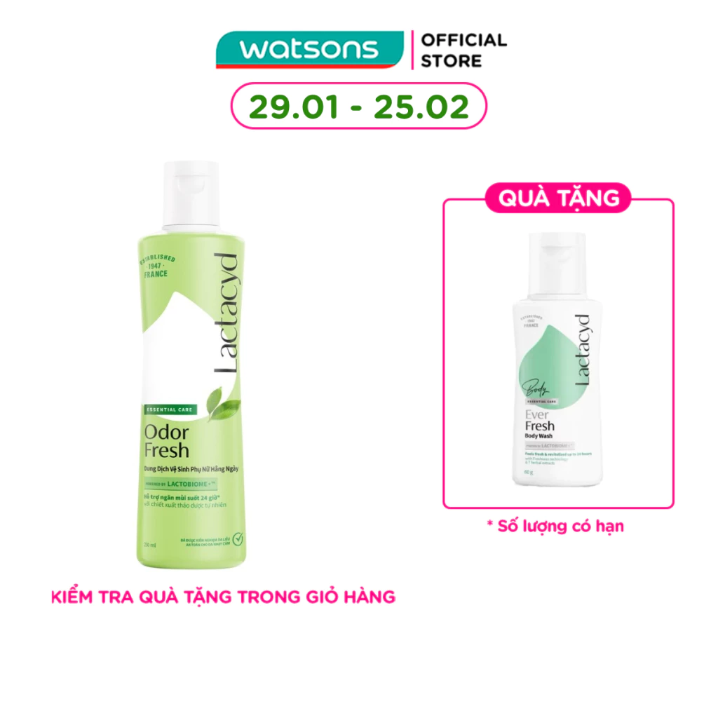 Dung Dịch Vệ Sinh Lactacyd Lá Trầu Không & Hoa Hồng 250ml - Sạch Khuẩn, Thơm Mát 24h