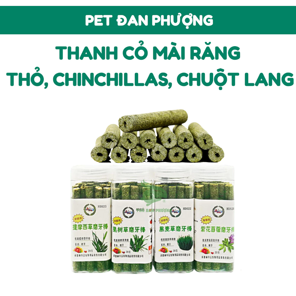 Que Cỏ Timothy Alfalfa Mài Răng Tự Nhiên, Hỗ Trợ Tiêu Hóa Cho Thỏ Bọ Ú Chinchilla