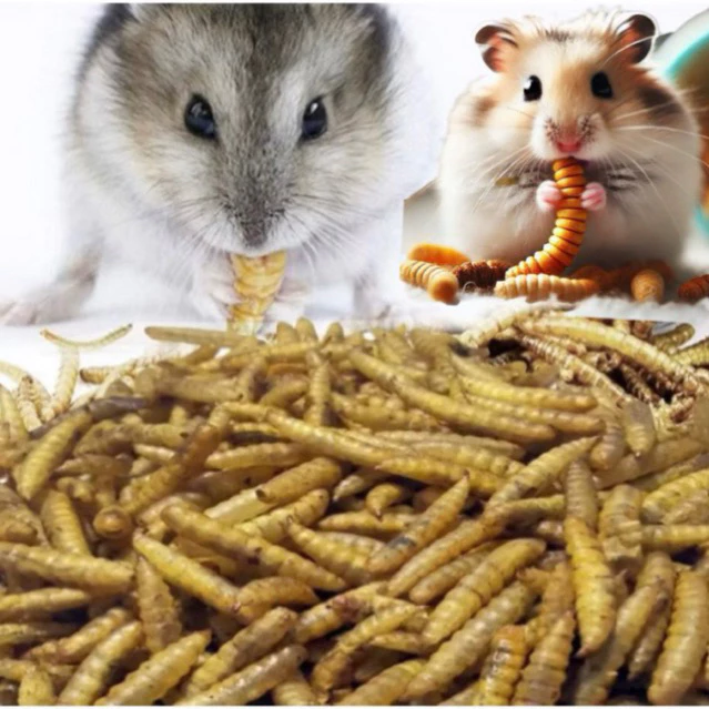 Sâu Canxi Sấy Khô - Thức Ăn Dặm Dinh Dưỡng Cho Hamster, Nhím, Chim